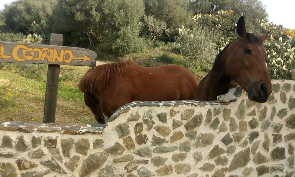 Hotel Valle Del Cedrino Galtelli Luaran gambar